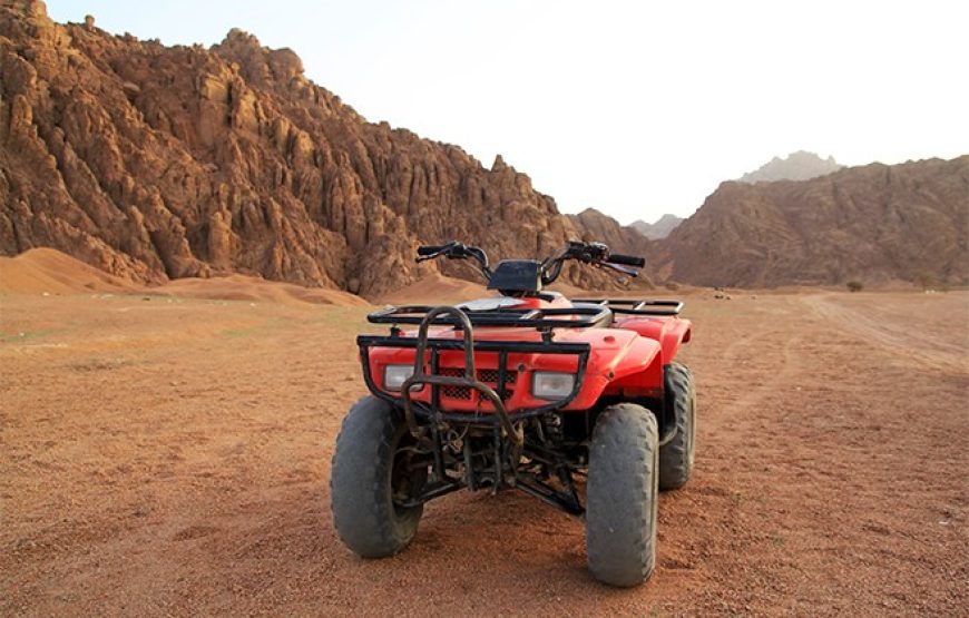 Сафари по пустыне