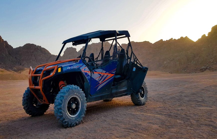 Сафари по пустыне